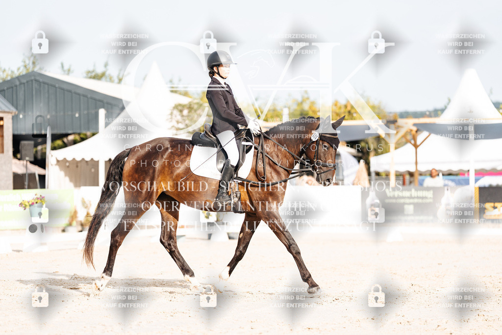 CK903913 | Turnierfotografie Pferdefotografie Trier Rheinland-Pfalz Pferdesport Reitsport Tierfotografie Sportfotografie Pferdevideo Pferdevideografie Equestrianvideography equestrianphotography  - Realisiert mit Pictrs.com