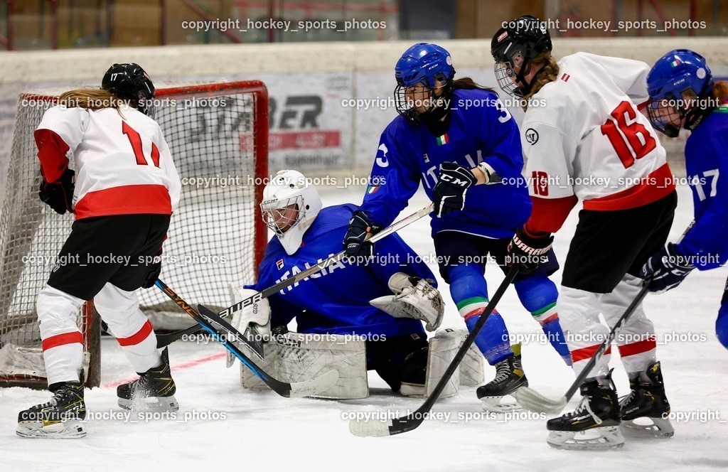 MOWE4062 | hockey sports photos, Pressefotos, Sportfotos, hockey247, win 2day icehockeyleague, Handball Austria, Floorball Austria, ÖVV, Kärntner Eishockeyverband, KEHV, KFV, Kärntner Fussballverband, Österreichischer Volleyballverband, Alps Hockey League, ÖFB, 