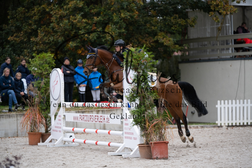 A7V09933 | Turnier/Reitfotograf