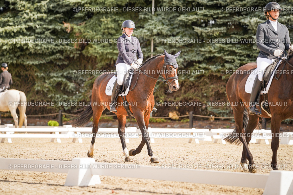 DSC01155 | Pferdegrafie