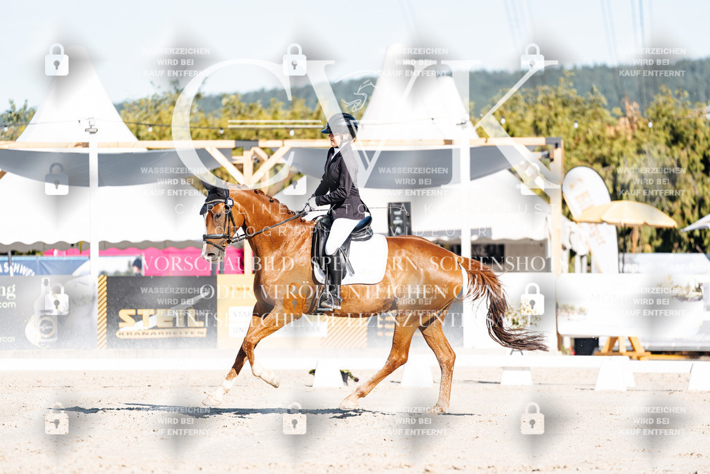 CK907198 | Turnierfotografie Pferdefotografie Trier Rheinland-Pfalz Pferdesport Reitsport Tierfotografie Sportfotografie Pferdevideo Pferdevideografie Equestrianvideography equestrianphotography  - Realisiert mit Pictrs.com