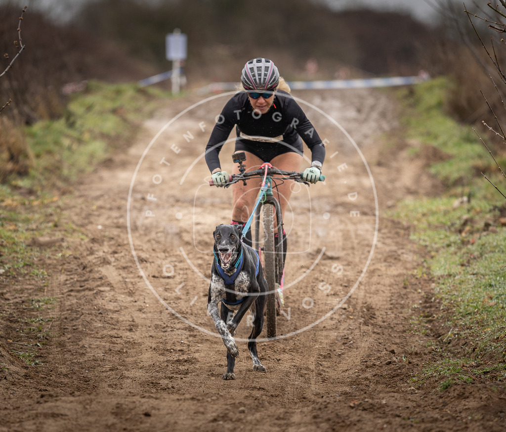 DV3A9558 | Hundefotografie, Tierfotograf, Pfotenfotografie, Fotoshooting Hund, Hunde Portrait, Hundesport, Hundeportraits, Heideshooting, Hunde, Sportfotograf, Hundefotograf, Turnierhundsport, THS,  - Realisiert mit Pictrs.com
