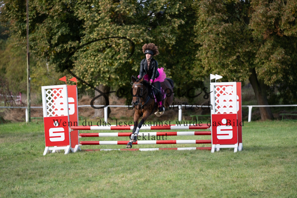 A7V06529 | Pferdefotograf