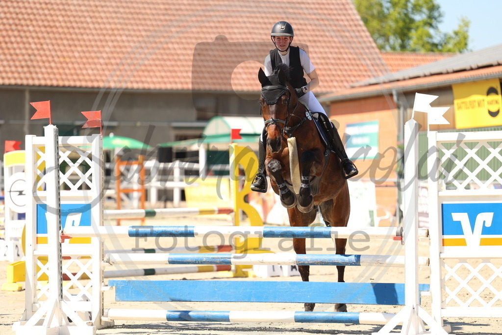 994A5766 | sabrinanicolaifotografie - Realisiert mit Pictrs.com