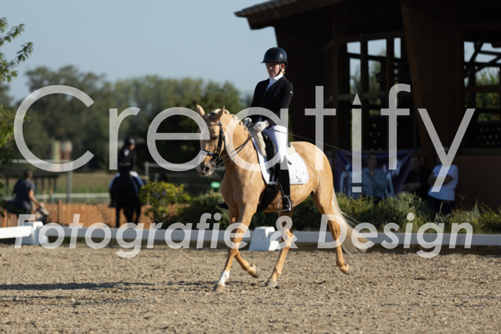 IMG_1001 | Creatify Fotografie