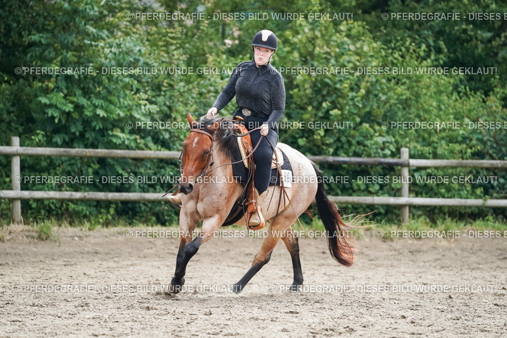 DSC04521 | Pferdegrafie