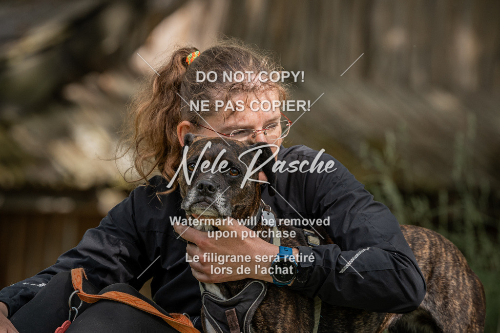 nelerasche_Do-spät_88 | nelerasche