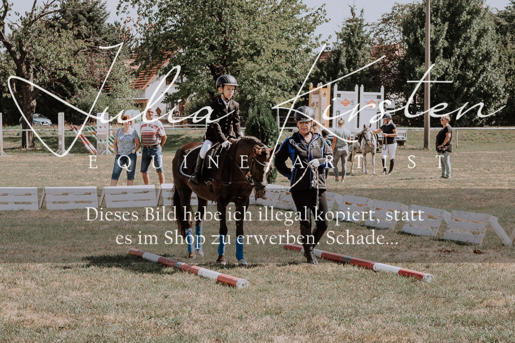 DSC_4539 | Pferde- und Turnierfotografie in Westsachsen. Pferdeportraits, Auftragszeichnungen und intuitive Kunst.