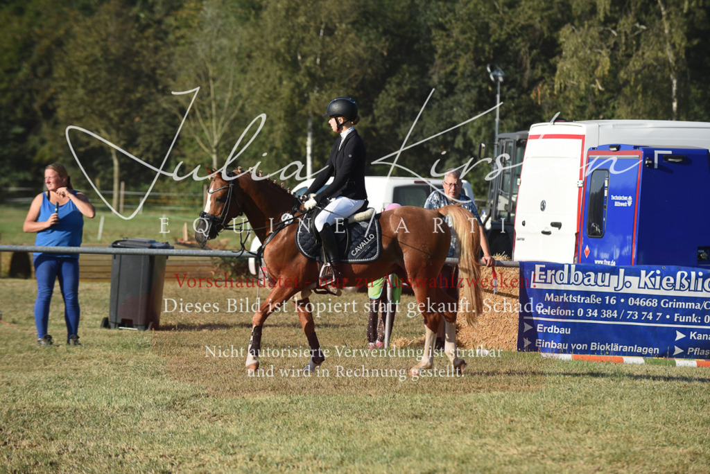 DSC_4990 | Pferde- und Turnierfotografie in Westsachsen. Pferdeportraits, Auftragszeichnungen und intuitive Kunst.