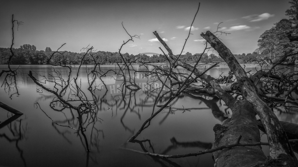 stativkunst-433 | Exklusive Hamburg collagen, tolle Segelbilder und viele weitere tolle Motive auf Leinwand, Poster, Alu-Dibond, u.v.m. findet Ihr bei uns auf hamburgbild.de. Findet Euer Wandbild für Euer Zuhause, Büro oder die  Praxis…. - Realisiert mit Pictrs.com