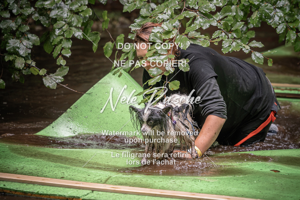 nelerasche_Wingst_Sa1330-1400_308 | nelerasche
