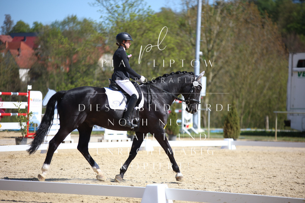 IMGT1780 | pl-fotografie