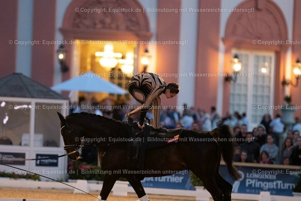 20230527_Voltigieren_NASPA_Flutlicht_0547 | equistock