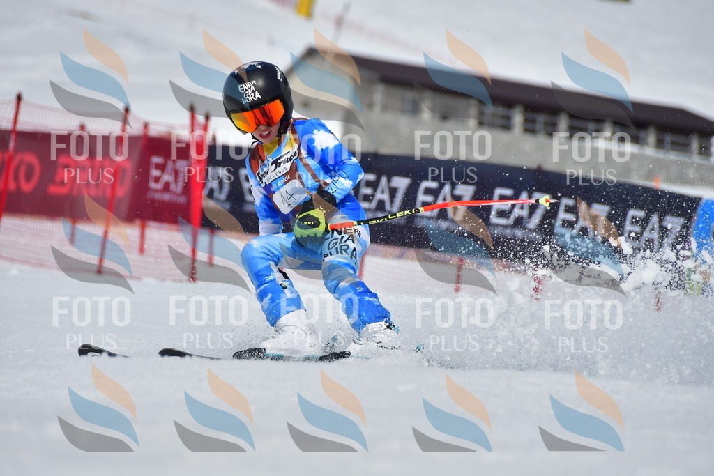 _DSC6815 | holidayphoto