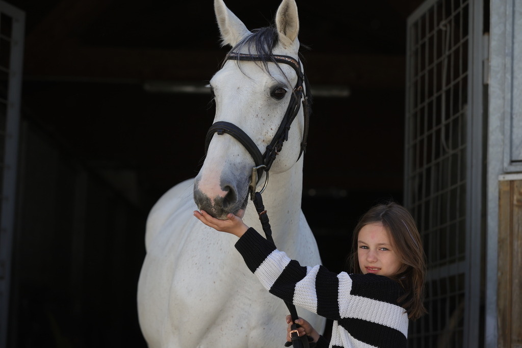0P6A9018 | Willkommen bei Brunnmayr - Design & Fotografie – Ihrem Spezialisten für Reitturniere und Pferdeveranstaltungen in Oberösterreich, Salzburg und Bayern! Seit über 17 Jahren sind wir leidenschaftlich dabei.