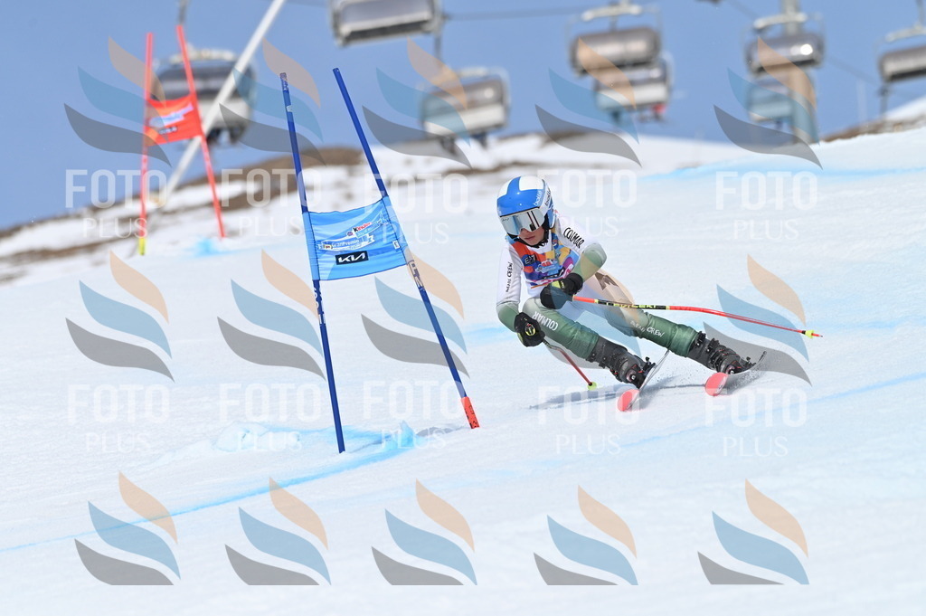 BGV_2679 | holidayphoto