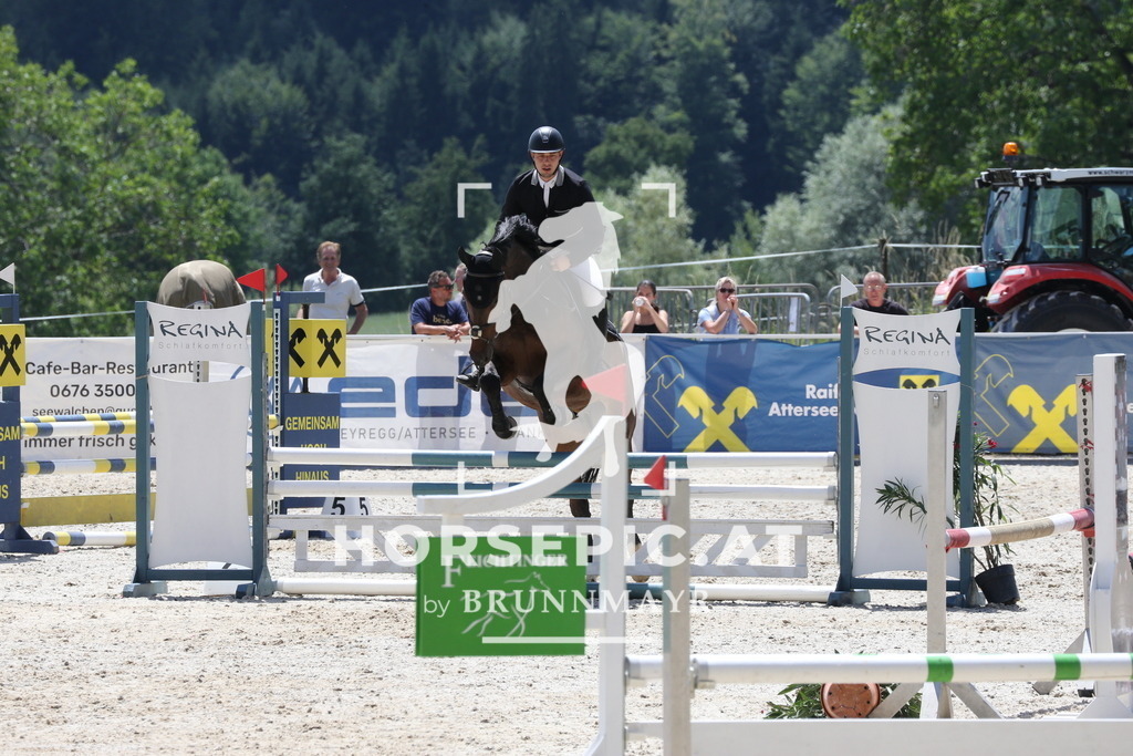 PP017893 | Willkommen bei Brunnmayr - Design & Fotografie – Ihrem Spezialisten für Reitturniere und Pferdeveranstaltungen in Oberösterreich, Salzburg und Bayern! Seit über 17 Jahren sind wir leidenschaftlich dabei.