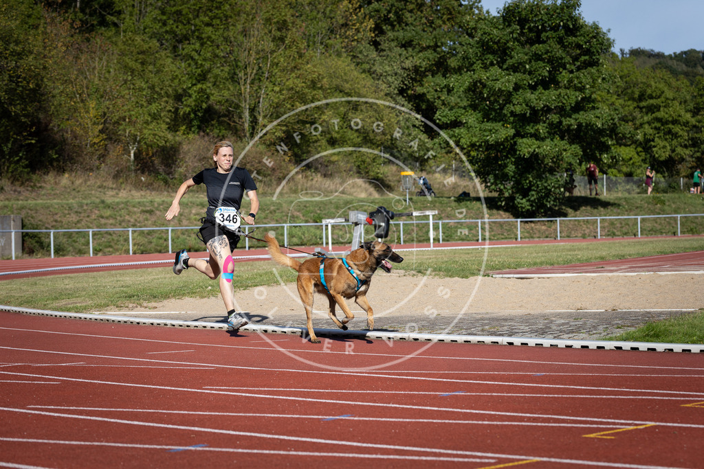 Pfotenfotografie_DV3A8766 | Hundefotografie, Tierfotograf, Pfotenfotografie, Fotoshooting Hund, Hunde Portrait, Hundesport, Hundeportraits, Heideshooting, Hunde, Sportfotograf, Hundefotograf, Turnierhundsport, THS,  - Realisiert mit Pictrs.com