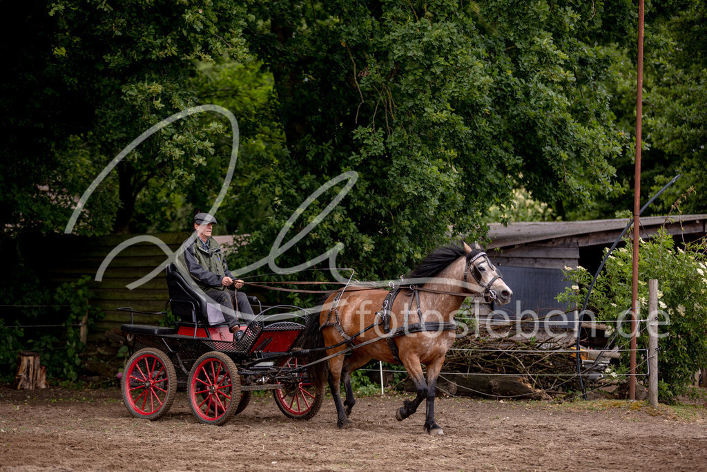 846A0650 | fotosleben - Realisiert mit Pictrs.com
