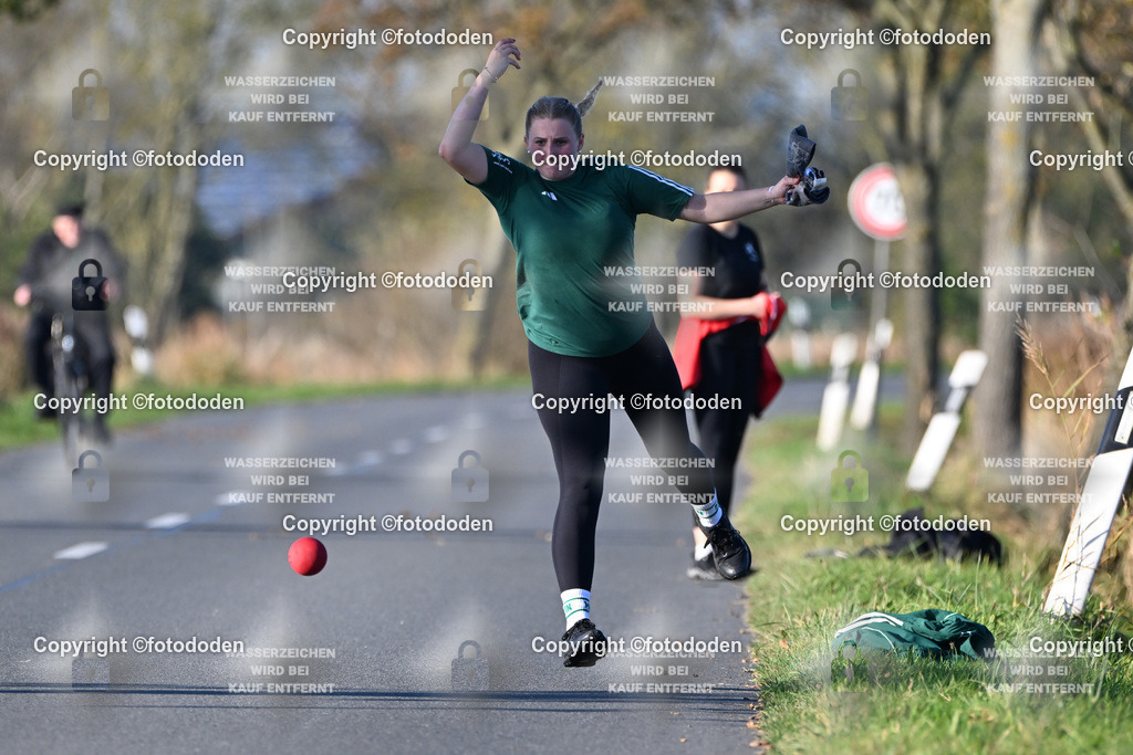 DSC_3124 | Tomke Ripken / Utarp-Schweindorf