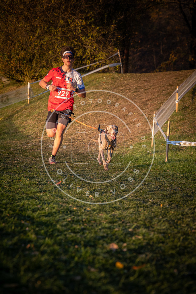 CaniXpix_0L8A1717 | Hundefotografie, Tierfotograf, Pfotenfotografie, Fotoshooting Hund, Hunde Portrait, Hundesport, Hundeportraits, Heideshooting, Hunde, Sportfotograf, Hundefotograf, Turnierhundsport, THS,  - Realisiert mit Pictrs.com