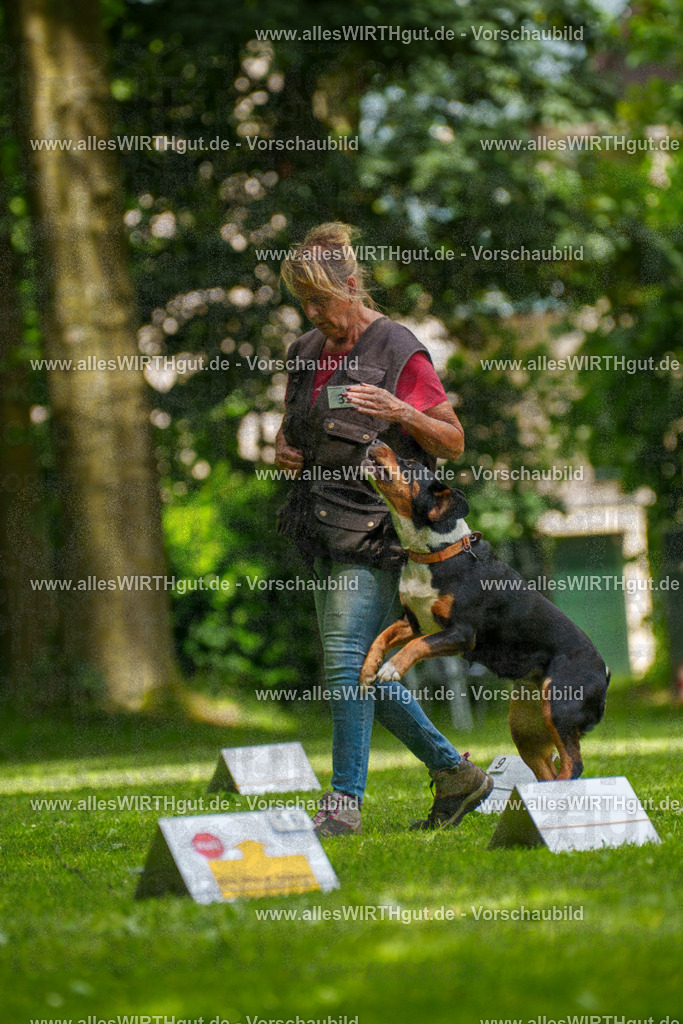 @allesWIRTHgut_Tierfotografie - www.allesWIRTHgut.de - 7R504589 | Professionelle Tierfotografie in Mönchengladbach von Daniel Wirth (allesWIRTHgut). Liebevolle & natürliche Bilder von Hunden & Katzen für unvergessliche Erinnerungen.