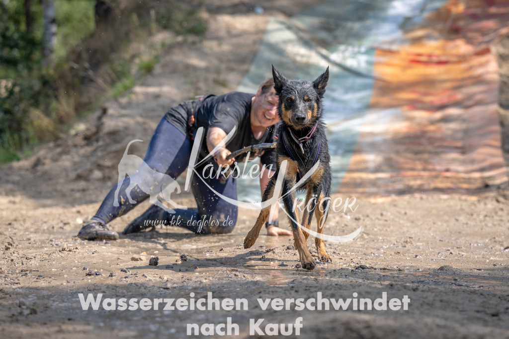 1134_ZZ90418 | kk-dogfotos