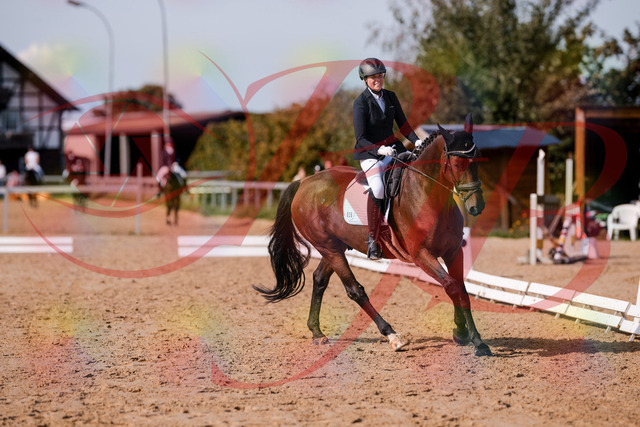 2026_10_03_Siefer-Hof_123141_Z81_30235164 | Professionelle Reitsport-, Turnier- und Eventfotografie von Robert Broda. Galerien mit ausgewählten und bearbeiteten Bildern direkt online ansehen und bestellen.