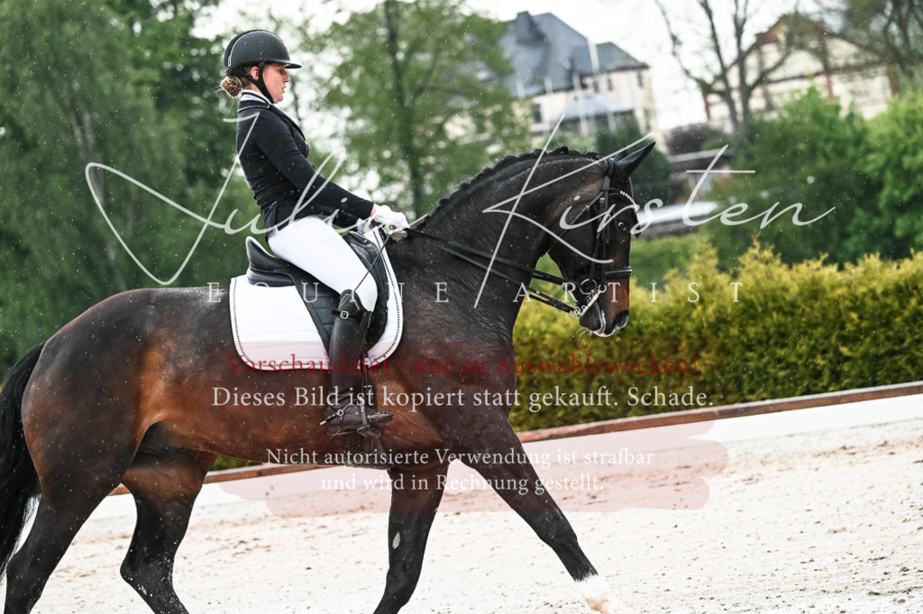 DSC_4324 | Pferde- und Turnierfotografie in Westsachsen. Pferdeportraits, Auftragszeichnungen und intuitive Kunst.