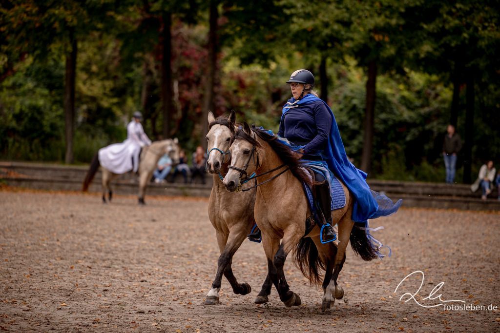 846A0323 | fotosleben - Realized with Pictrs.com