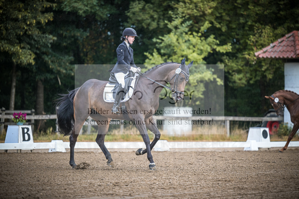 DOS_0225 | Entdecke hochwertige Reitturnierfotos von Foto Oger. Professionell, emotional und authentisch – jetzt Lieblingsmomente im Shop bestellen.Deutschlandweite Turnierfotografie. - Realisiert mit Pictrs.com
