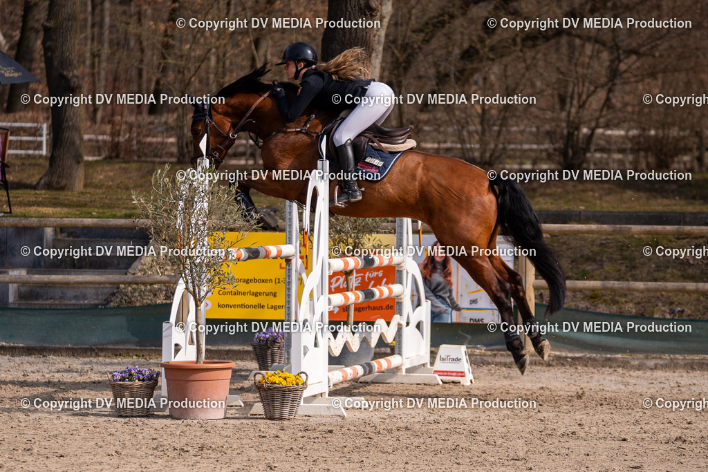 Kranichstein Tag 2-1536 | dv-media-shop - Realisiert mit Pictrs.com