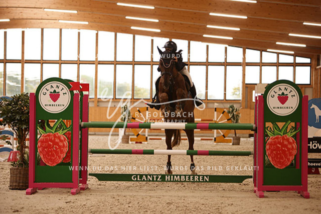 1J2A9234Rica Marlene Scholz_ Diego_s - Baloubet_ Kn219_ Glantz_ Hohen Wieschendorf | Foto- und Videografie für alles rund ums Pferd. Hochwertige Bilder und Videos vom Spring- und Dressurreiten, Voltigieren & mehr. Jetzt aktuelle Veranstaltungen und Preise im Shop ansehen. - Realisiert mit Pictrs.com