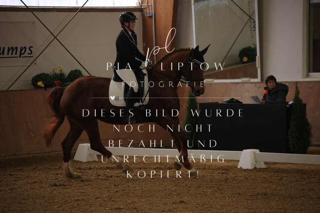 IMGT0088 | pl-fotografie