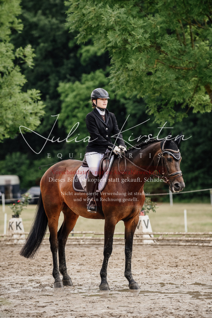 DSC_0744 | Pferde- und Turnierfotografie in Westsachsen. Pferdeportraits, Auftragszeichnungen und intuitive Kunst.