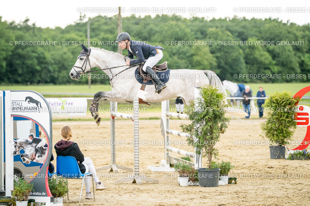 DSC07066 | Pferdegrafie