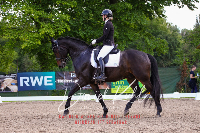 DKP41151 | Turnierfotos kaufen im Webshop von Daniel Kuhl Photography – entdecke professionelle Reitsportfotos aus Turnieren & Events. Hochwertige Turnierbilder online bestellen & sichern. Jetzt Fotos von Reitsportturnieren kaufen!