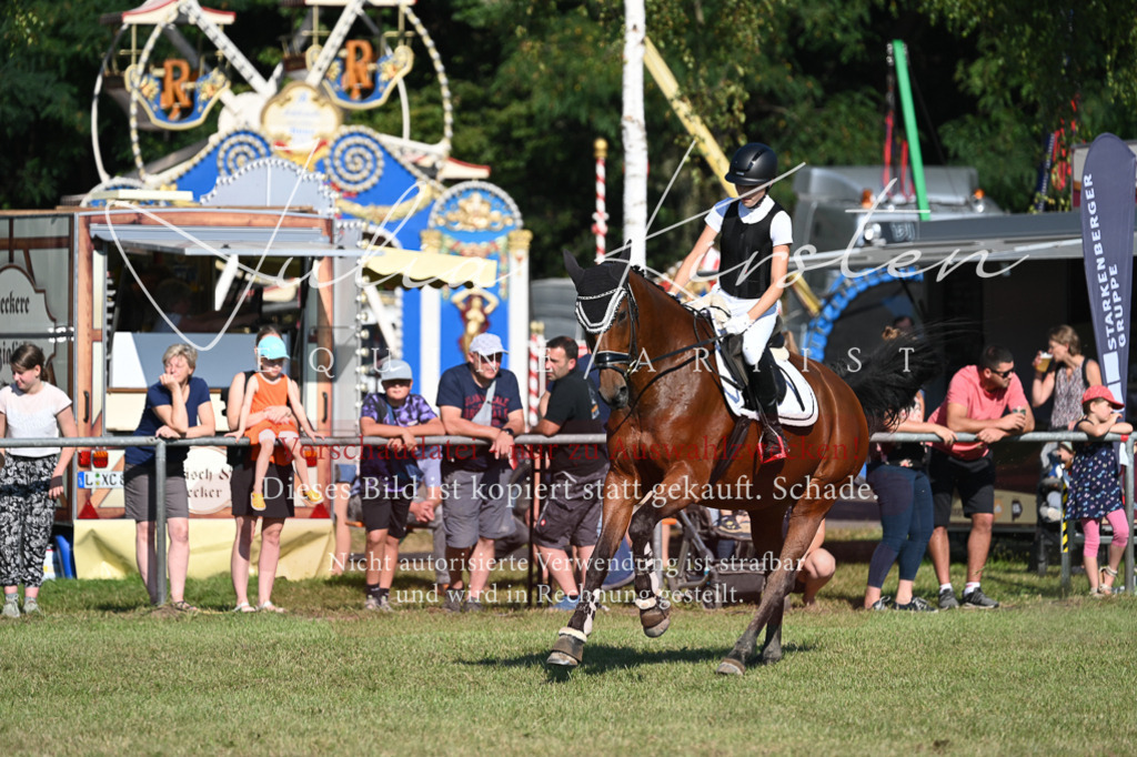 DSC_5293 | Pferde- und Turnierfotografie in Westsachsen. Pferdeportraits, Auftragszeichnungen und intuitive Kunst.