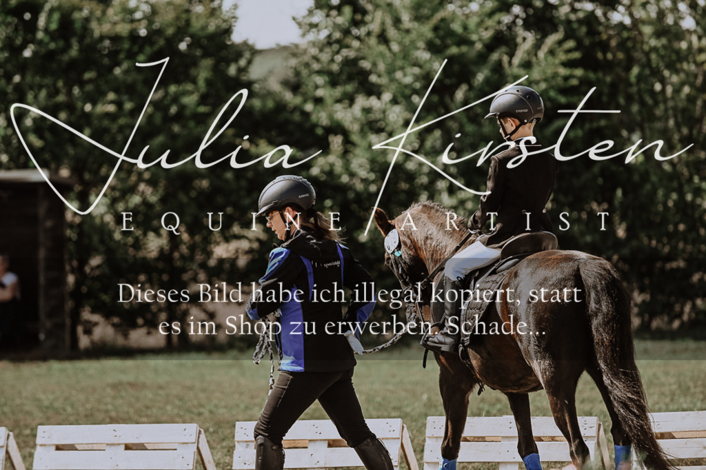 DSC_7982 | Pferde- und Turnierfotografie in Westsachsen. Pferdeportraits, Auftragszeichnungen und intuitive Kunst.