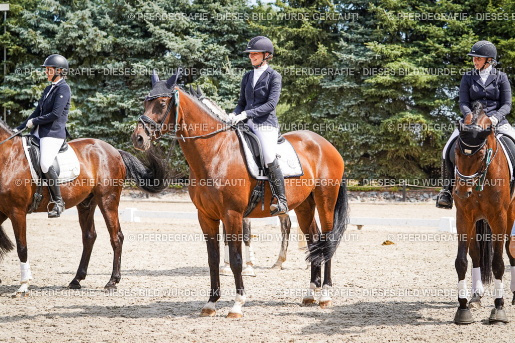 DSC02281 | Pferdegrafie