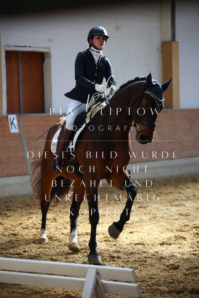 IMGT6454 | pl-fotografie