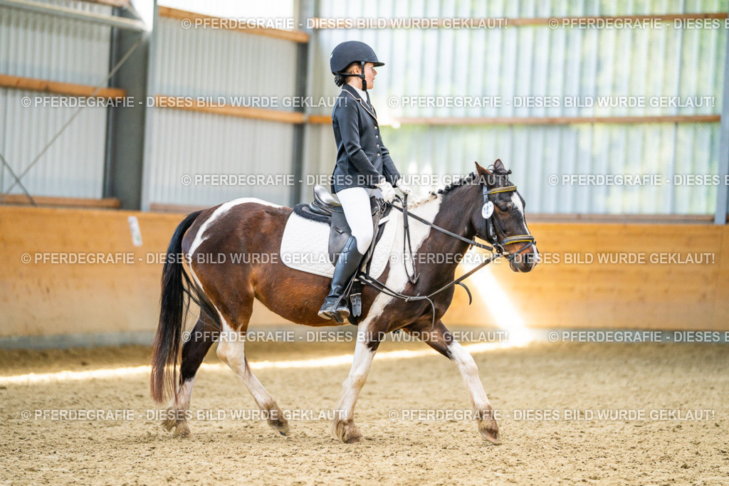 DSC03194 | Pferdegrafie