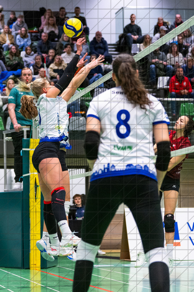2. VBLF Nord 25/26 | Spiel 4065 | VC Osnabrück vs. TUSA City Girls Düsseldorf | //  10.01.26: 2. VBLF Nord 25/26 | Spiel 4065 | VC Osnabrück vs. TUSA City Girls Düsseldorf / Osnabrück / Deutschland  //   CREDIT:www.bullenfotos.de, Martin König, Hörner Weg 40, D-49078 Osnabrück, +4917663732967 // Nutzung und Weitergabe nur zu den vereinbarten Zwecken. Presseanfragen an Ersteller. Alle Rechte beim Ersteller. Honorierung nach MFM. - Realisiert mit Pictrs.com