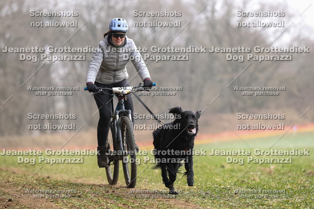 Dog Paparazzi - Plate 2026-127 | Dog Paparazzi Jeanette Grottendiek Fotografie & Videografie - Realisiert mit Pictrs.com