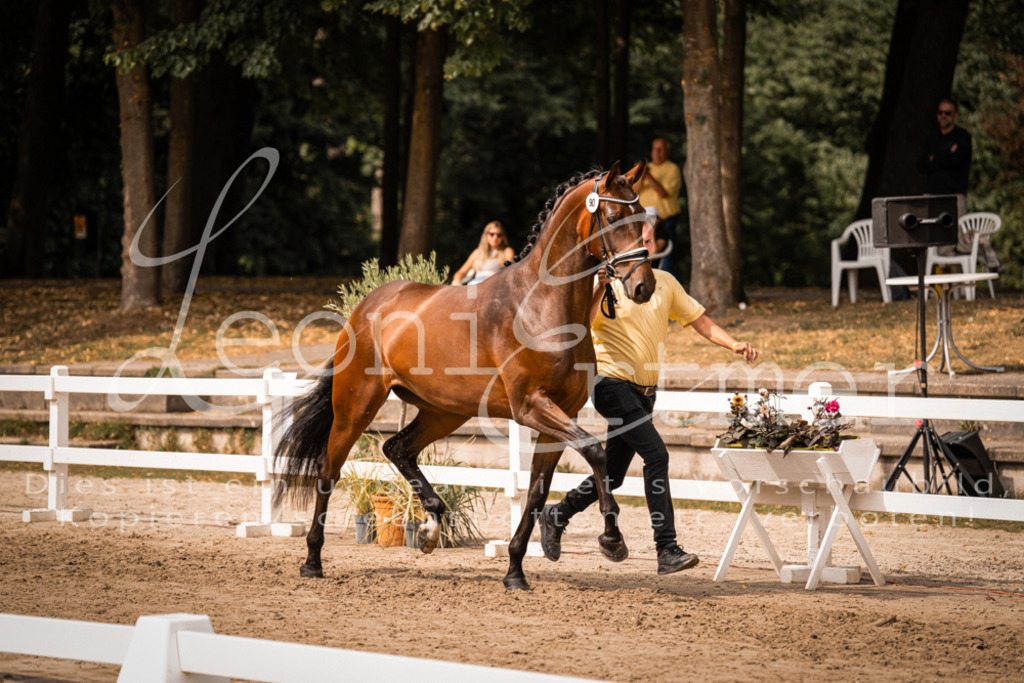 6.Fr00059 | Leoni Ertmer Photography - Realisiert mit Pictrs.com