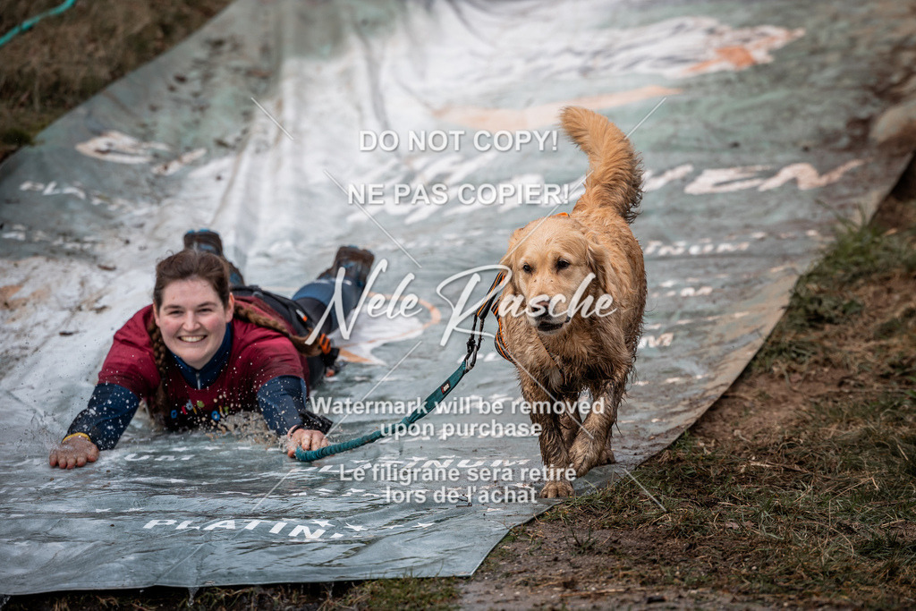 nelerasche_1330-1400_224 | nelerasche