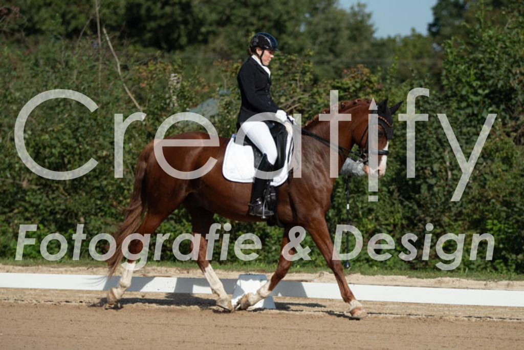 IMG_0153 | Creatify Fotografie