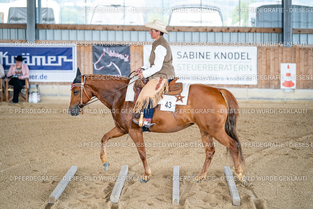 DSC01612 | Pferdegrafie