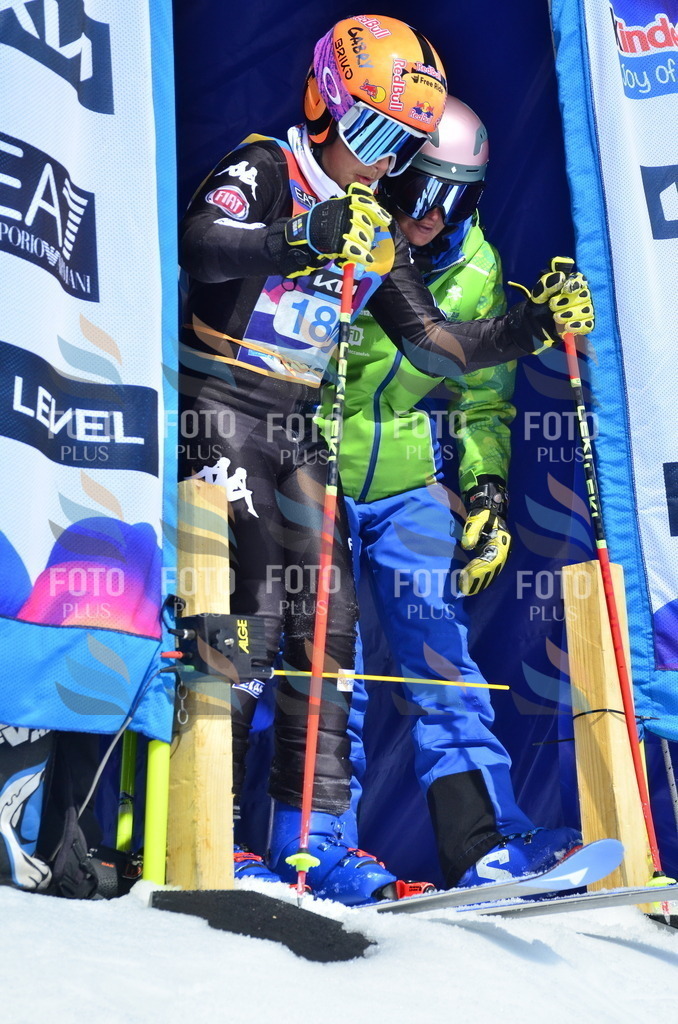 _ELE1264 | holidayphoto