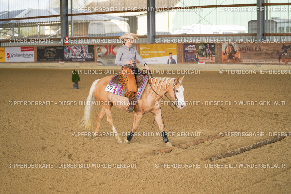 DSC01357 | Pferdegrafie